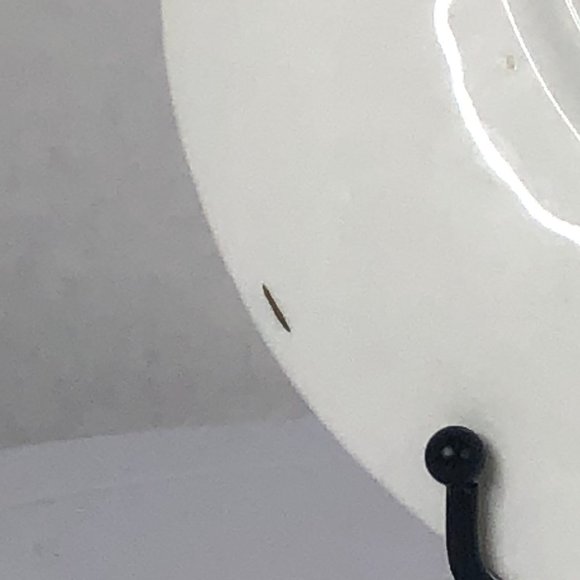 Springfield Bone China Teacup and Saucer - Picture 8 of 9